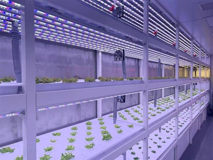 Automatic 40ft Green Mobile Planting Container Factory